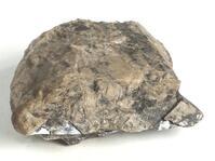 M 05142
<br/>
<br/>
<em></em>